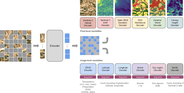 Figure 3 for MMEarth: Exploring Multi-Modal Pretext Tasks For Geospatial Representation Learning