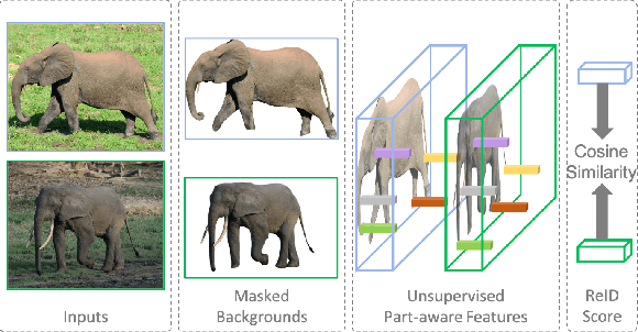 Figure 1 for Addressing the Elephant in the Room: Robust Animal Re-Identification with Unsupervised Part-Based Feature Alignment