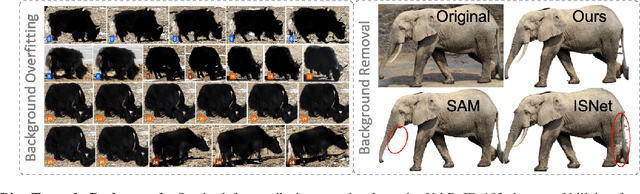 Figure 3 for Addressing the Elephant in the Room: Robust Animal Re-Identification with Unsupervised Part-Based Feature Alignment