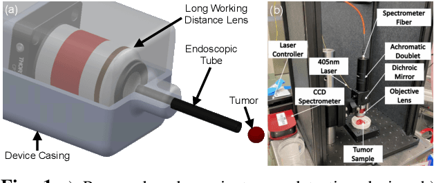 Figure 1 for Incident Angle Study for Designing an Endoscopic Tool for Intraoperative Brain Tumor Detection