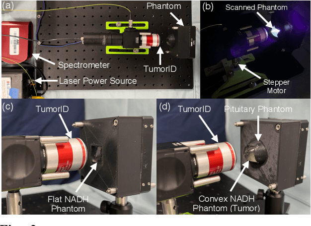Figure 2 for Incident Angle Study for Designing an Endoscopic Tool for Intraoperative Brain Tumor Detection