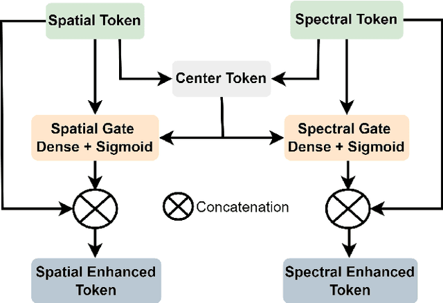 Figure 3 for Spatial-Spectral Morphological Mamba for Hyperspectral Image Classification