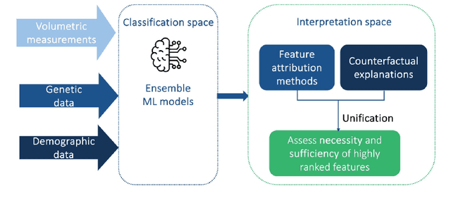 Figure 1 for A comprehensive interpretable machine learning framework for Mild Cognitive Impairment and Alzheimer's disease diagnosis