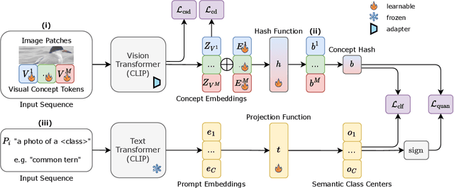 Figure 3 for ConceptHash: Interpretable Fine-Grained Hashing via Concept Discovery