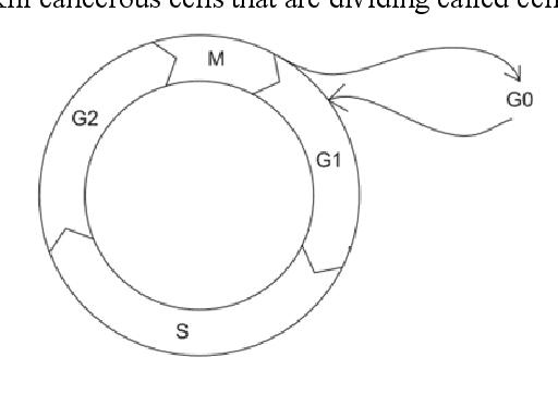 Figure 1 for A Decision Making Approach for Chemotherapy Planning based on Evolutionary Processing