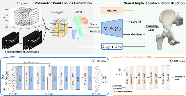 Figure 1 for Neural Implicit Surface Reconstruction for Freehand 3D Ultrasound Volumetric Point Clouds with Geometric Constraints