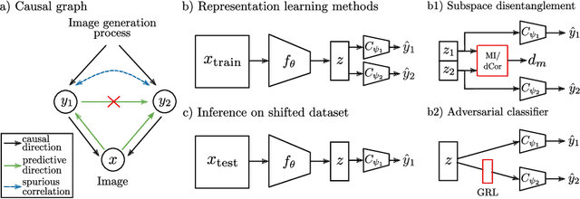 Figure 1 for Benchmarking Dependence Measures to Prevent Shortcut Learning in Medical Imaging