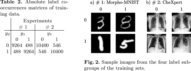 Figure 3 for Benchmarking Dependence Measures to Prevent Shortcut Learning in Medical Imaging