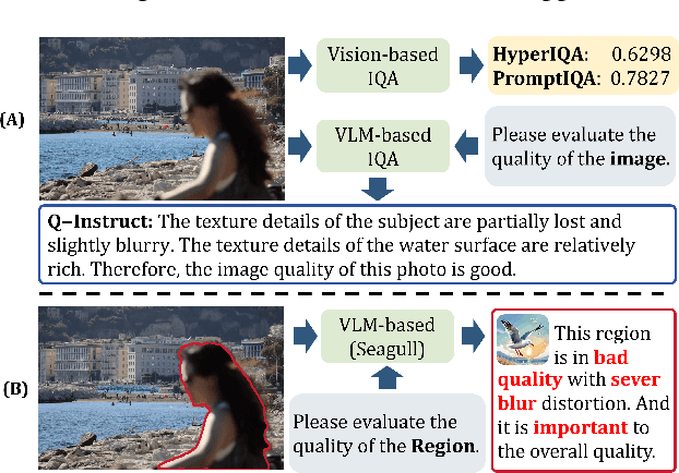 Figure 1 for SEAGULL: No-reference Image Quality Assessment for Regions of Interest via Vision-Language Instruction Tuning