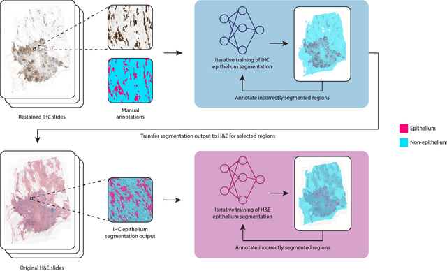 Figure 2 for A Multicentric Dataset for Training and Benchmarking Breast Cancer Segmentation in H&E Slides