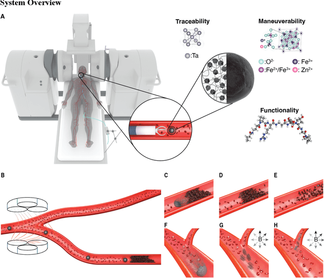 Figure 1 for Clinically Ready Magnetic Microrobots for Targeted Therapies