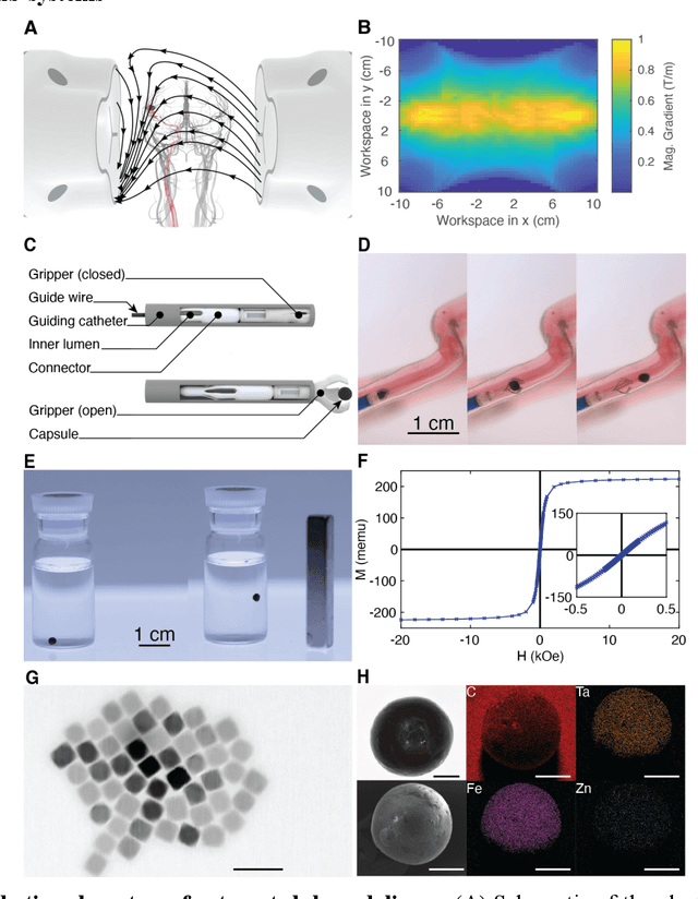 Figure 2 for Clinically Ready Magnetic Microrobots for Targeted Therapies