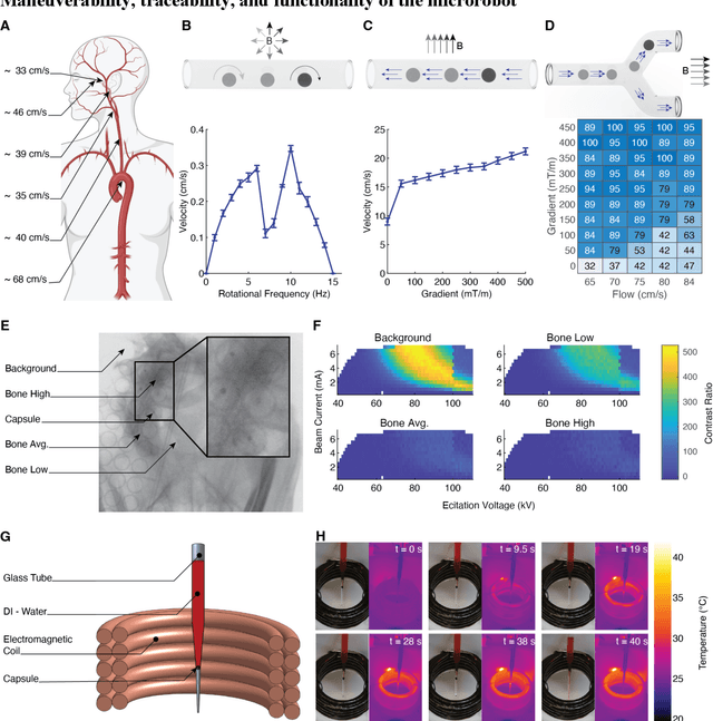 Figure 3 for Clinically Ready Magnetic Microrobots for Targeted Therapies