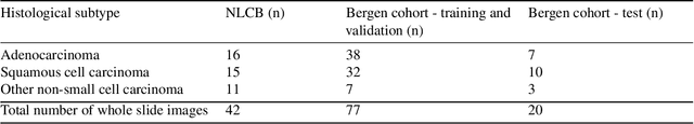 Figure 1 for Segmentation of Non-Small Cell Lung Carcinomas: Introducing DRU-Net and Multi-Lens Distortion