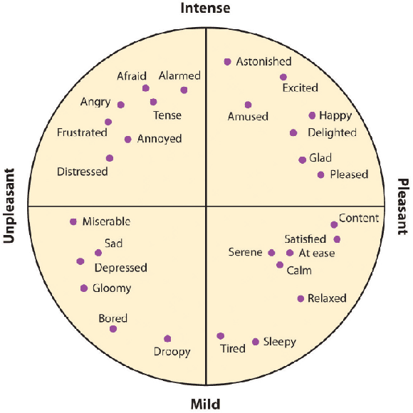 Figure 1 for Emotion Recognition from the perspective of Activity Recognition