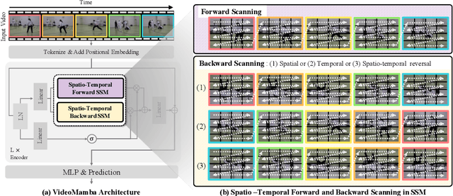 Figure 3 for VideoMamba: Spatio-Temporal Selective State Space Model