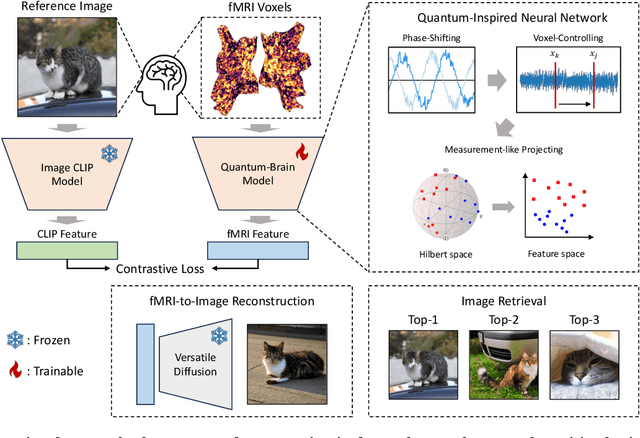 Figure 2 for Quantum-Brain: Quantum-Inspired Neural Network Approach to Vision-Brain Understanding