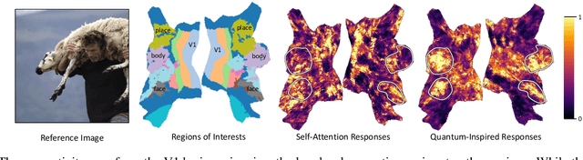 Figure 4 for Quantum-Brain: Quantum-Inspired Neural Network Approach to Vision-Brain Understanding