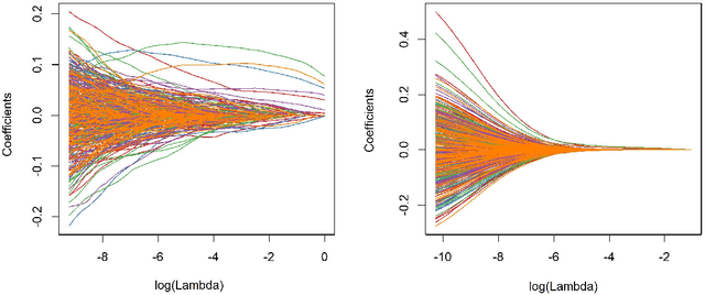 Figure 1 for Time-to-event prediction for grouped variables using Exclusive Lasso