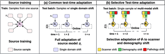 Figure 1 for Selective Test-Time Adaptation for Unsupervised Anomaly Detection using Neural Implicit Representations