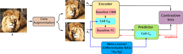 Figure 1 for NASiam: Efficient Representation Learning using Neural Architecture Search for Siamese Networks