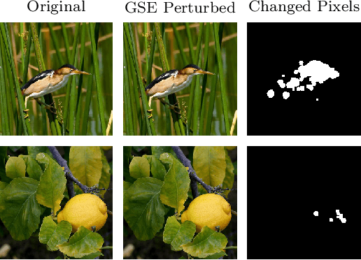 Figure 1 for Group-wise Sparse and Explainable Adversarial Attacks