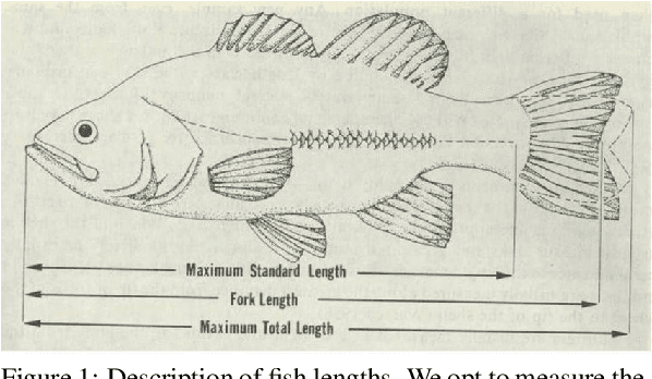 Figure 1 for Precision Aquaculture: An Integrated Computer Vision and IoT Approach for Optimized Tilapia Feeding