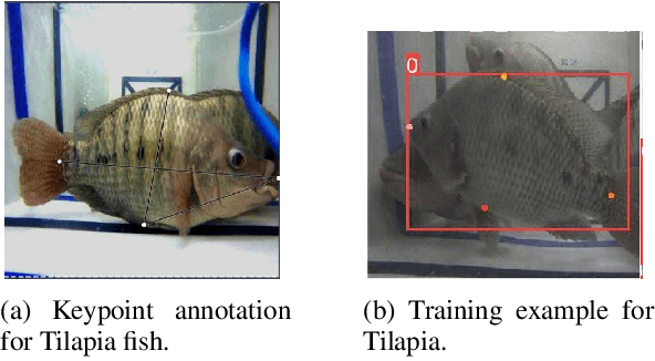 Figure 3 for Precision Aquaculture: An Integrated Computer Vision and IoT Approach for Optimized Tilapia Feeding