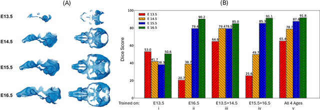 Figure 1 for UniCoN: Universal Conditional Networks for Multi-Age Embryonic Cartilage Segmentation with Sparsely Annotated Data