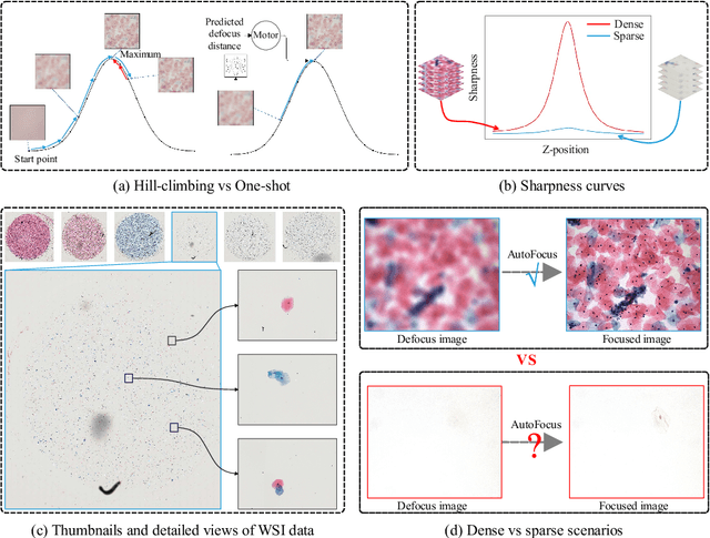 Figure 1 for SparseFocus: Learning-based One-shot Autofocus for Microscopy with Sparse Content