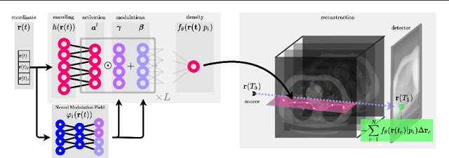 Figure 1 for Neural Modulation Fields for Conditional Cone Beam Neural Tomography