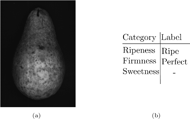 Figure 3 for Hyperspectral Benchmark: Bridging the Gap between HSI Applications through Comprehensive Dataset and Pretraining