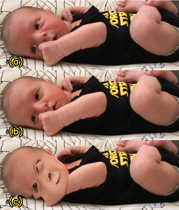 Figure 1 for BLANKET: Anonymizing Faces in Infant Video Recordings