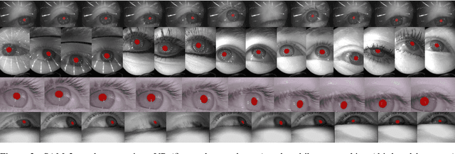 Figure 4 for Zero-Shot Pupil Segmentation with SAM 2: A Case Study of Over 14 Million Images