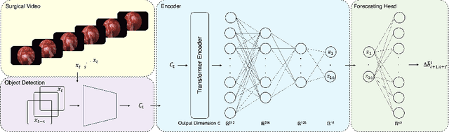 Figure 1 for Anatomy Might Be All You Need: Forecasting What to Do During Surgery
