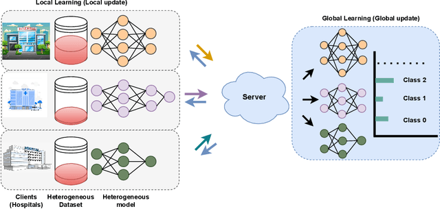 Figure 1 for Federated Learning for Data and Model Heterogeneity in Medical Imaging