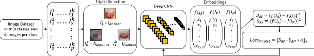 Figure 1 for Siamese Neural Networks for Skin Cancer Classification and New Class Detection using Clinical and Dermoscopic Image Datasets