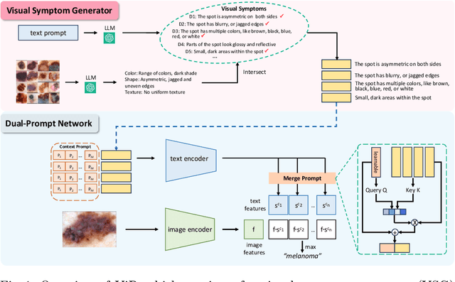 Figure 1 for Aligning Medical Images with General Knowledge from Large Language Models