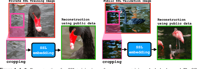 Figure 1 for Do SSL Models Have Déjà Vu? A Case of Unintended Memorization in Self-supervised Learning