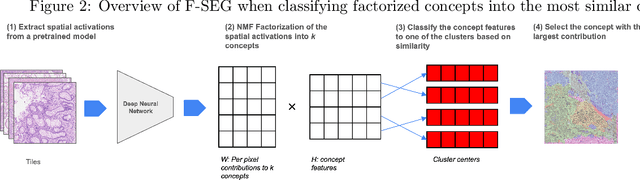 Figure 2 for Segmentation by Factorization: Unsupervised Semantic Segmentation for Pathology by Factorizing Foundation Model Features