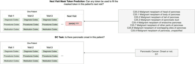 Figure 1 for Advancing Pancreatic Cancer Prediction with a Next Visit Token Prediction Head on top of Med-BERT