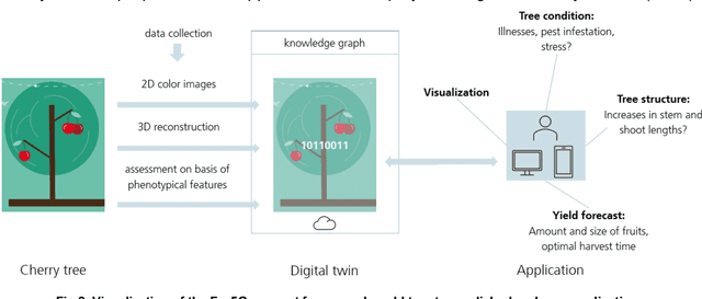 Figure 2 for Cherry Yield Forecast: Harvest Prediction for Individual Sweet Cherry Trees