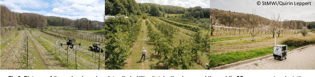 Figure 4 for Cherry Yield Forecast: Harvest Prediction for Individual Sweet Cherry Trees