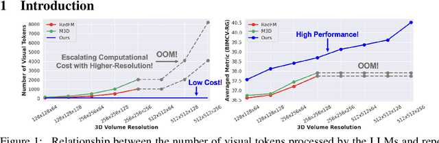 Figure 1 for Benchmarking and Boosting Radiology Report Generation for 3D High-Resolution Medical Images