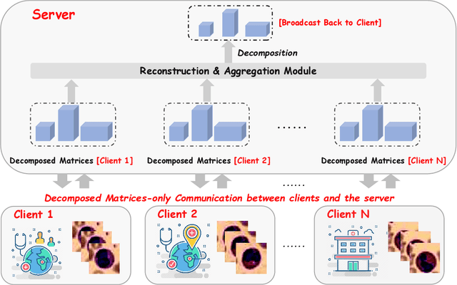 Figure 1 for Federated Distillation for Medical Image Classification: Towards Trustworthy Computer-Aided Diagnosis