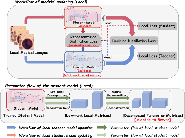 Figure 2 for Federated Distillation for Medical Image Classification: Towards Trustworthy Computer-Aided Diagnosis