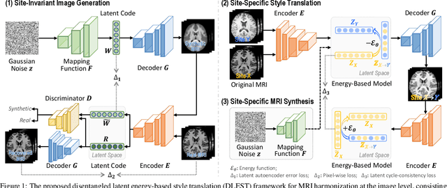 Figure 1 for Disentangled Latent Energy-Based Style Translation: An Image-Level Structural MRI Harmonization Framework