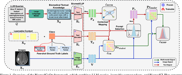 Figure 1 for BiomedCoOp: Learning to Prompt for Biomedical Vision-Language Models