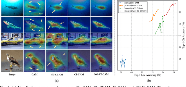 Figure 1 for Further Improving Weakly-supervised Object Localization via Causal Knowledge Distillation