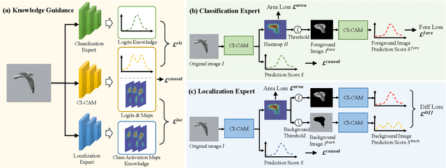 Figure 4 for Further Improving Weakly-supervised Object Localization via Causal Knowledge Distillation